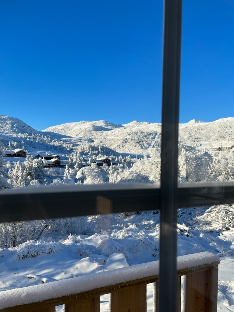 Selgers private bilder, områdebilde. Galleribilde