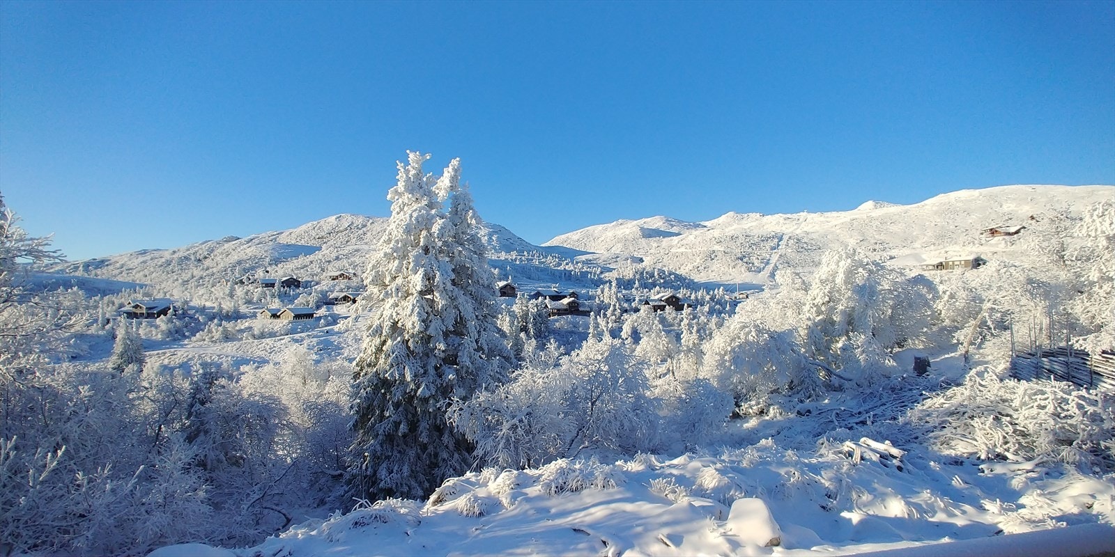Selgers private bilder, områdebilde. Galleribilde