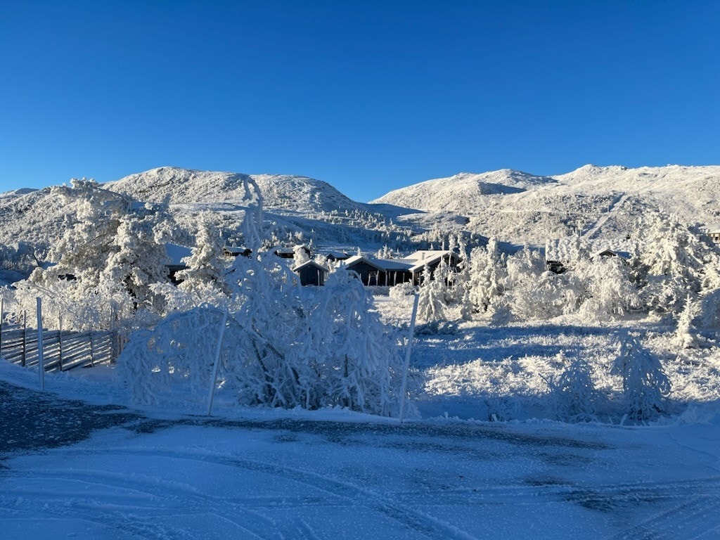 Selgers private bilder, områdebilde. Galleribilde