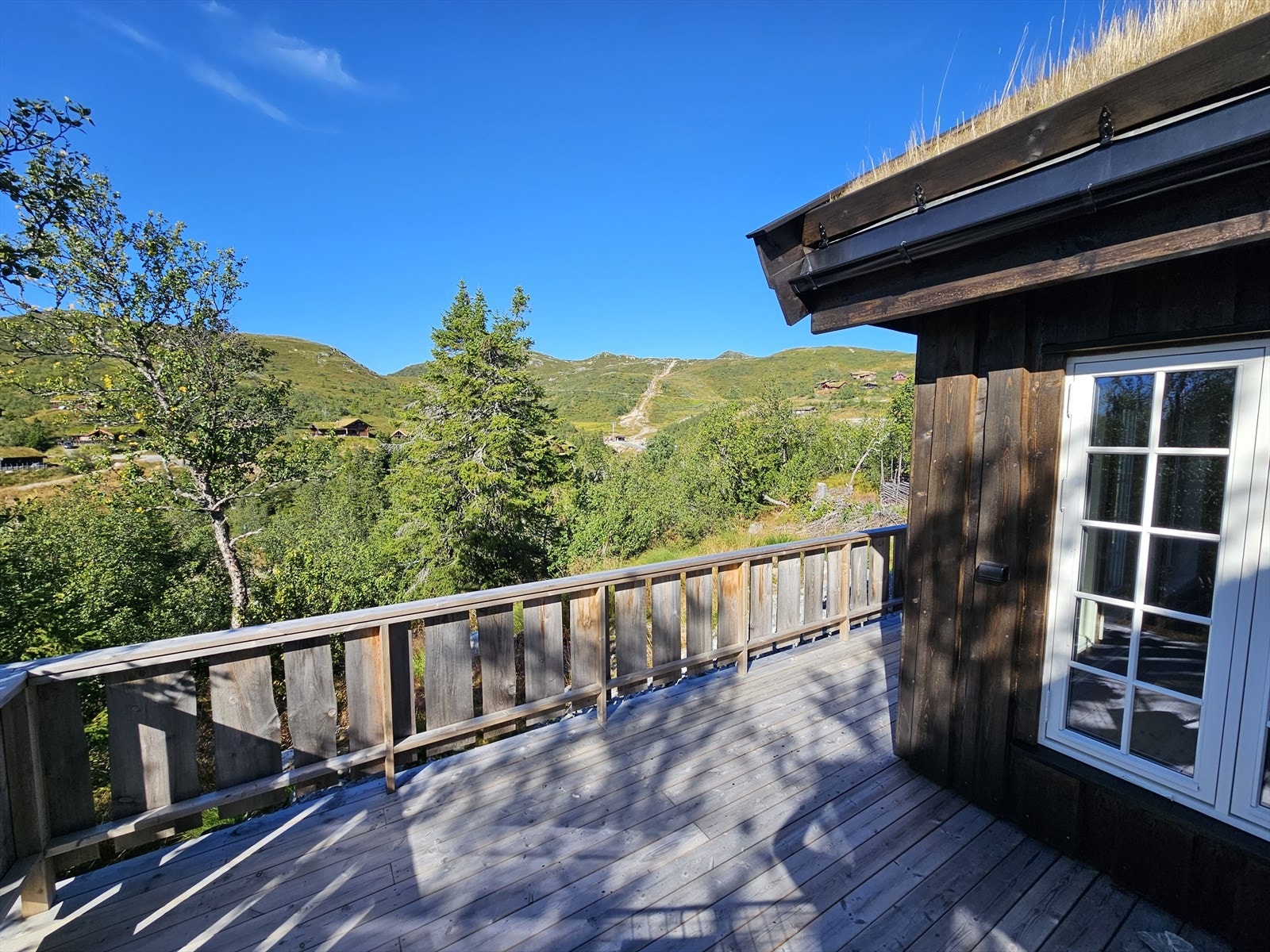 Selgers private bilder, sommer. Galleribilde