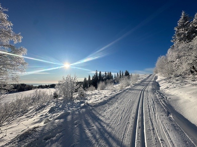 Perfekte løypeforhold i disse dager Galleribilde