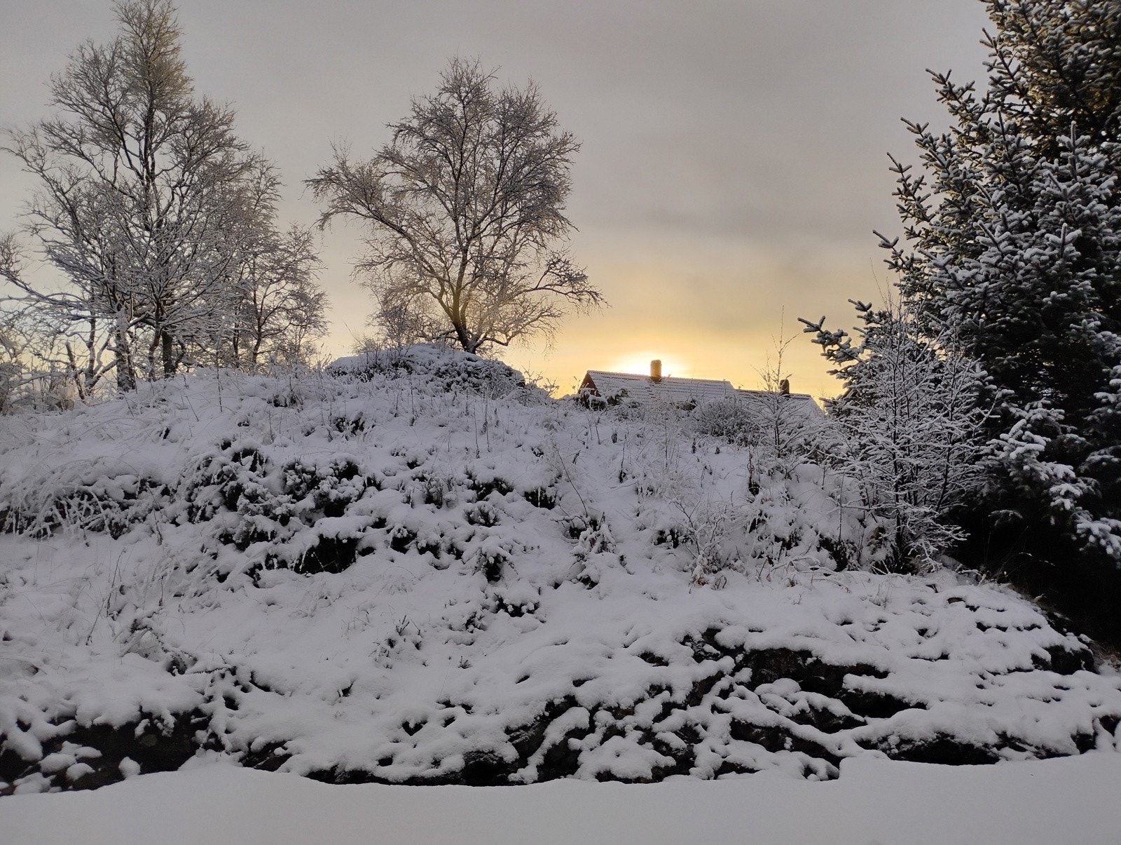 Snøkledd naturtomt ovenfor terrassen Galleribilde