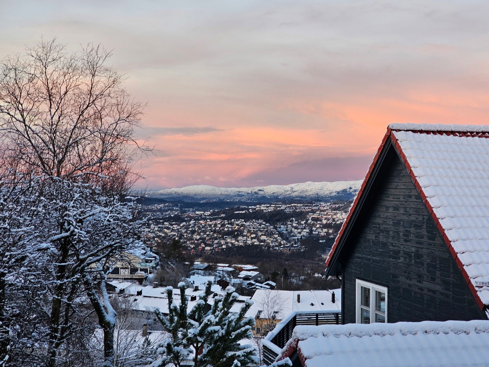 Utsikt sydover Galleribilde