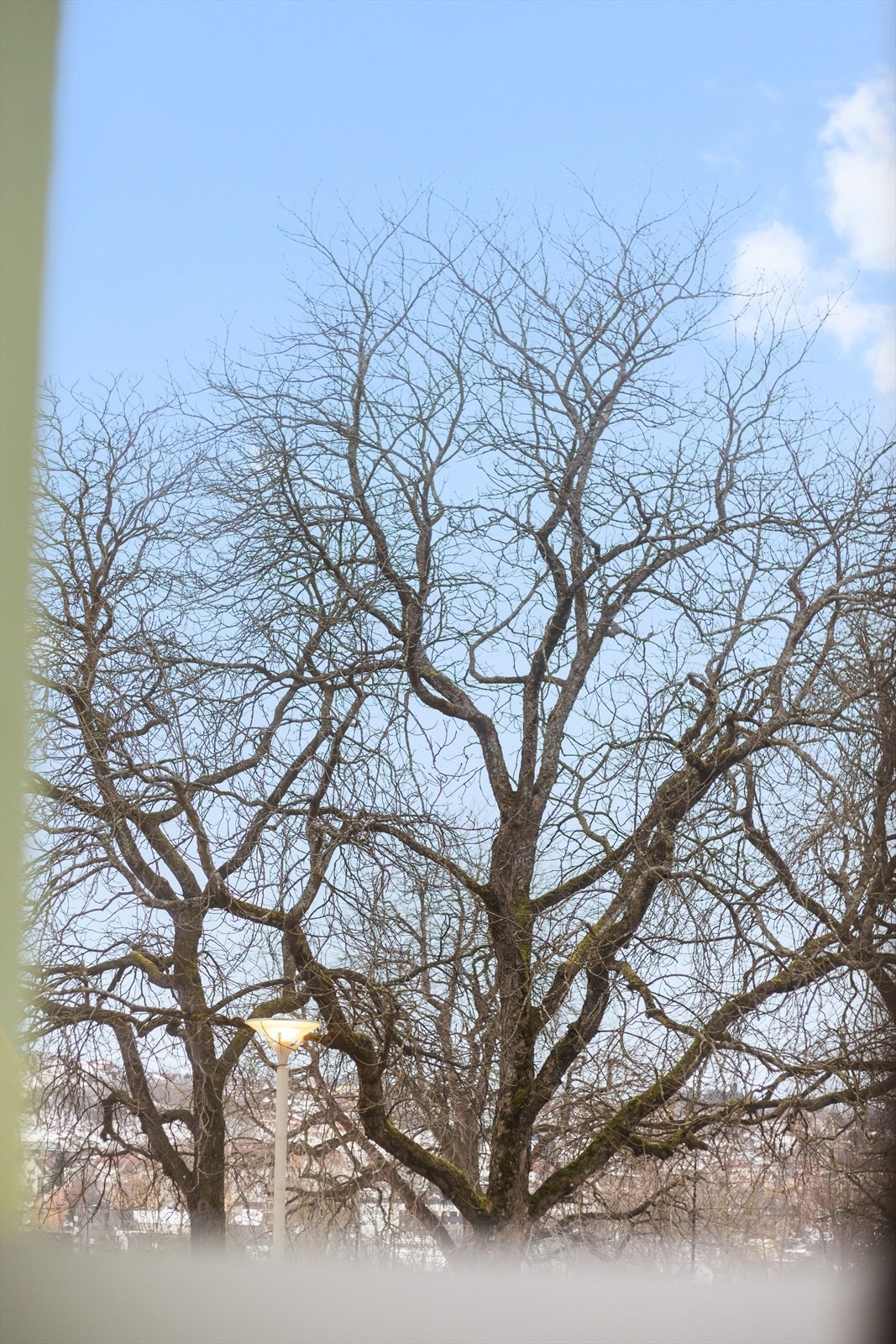 Fra leiligheten er det utsyn mot rolige omgivelser og grøntarealer. Galleribilde