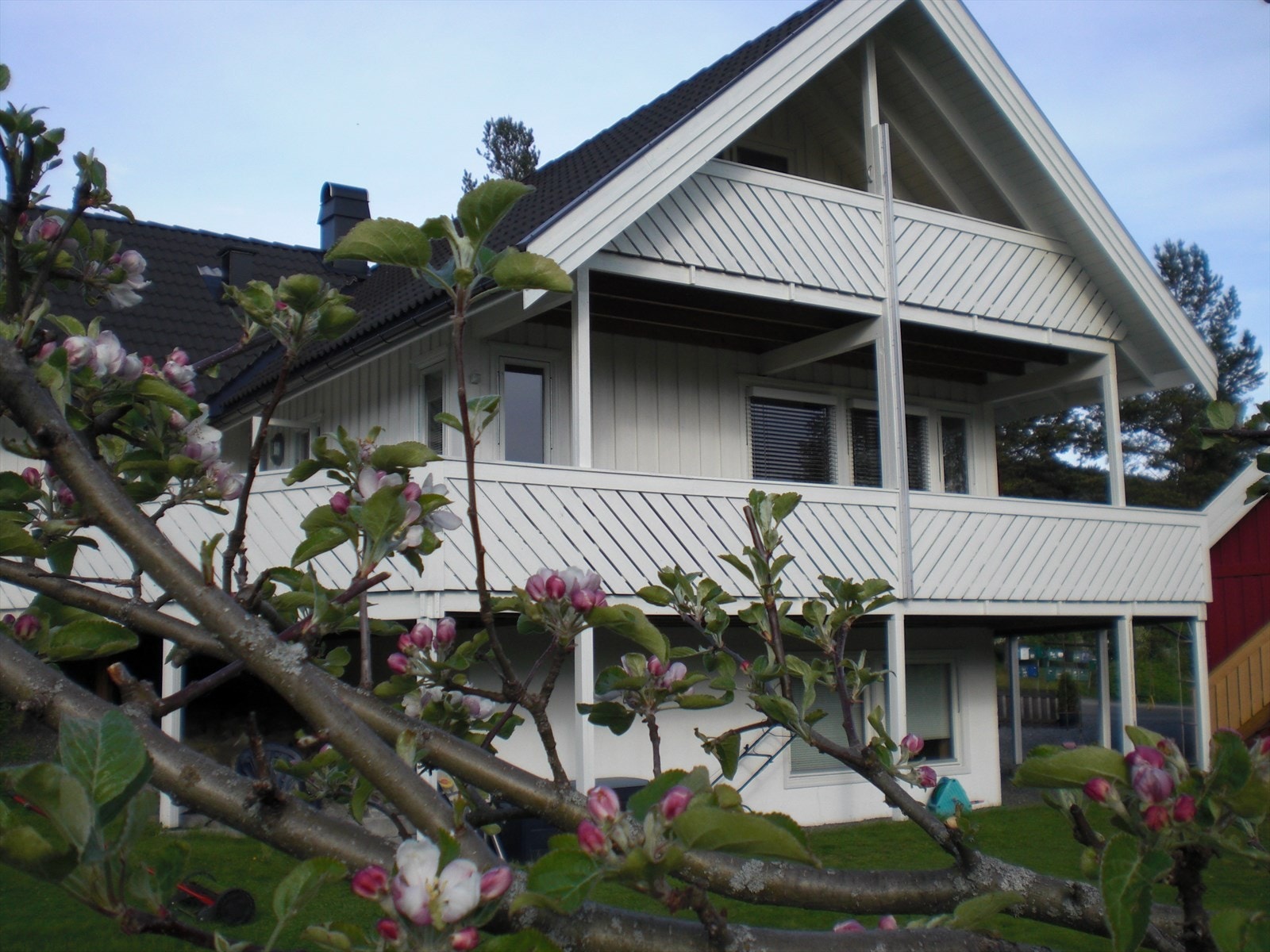 Selgers private bilde. Galleribilde