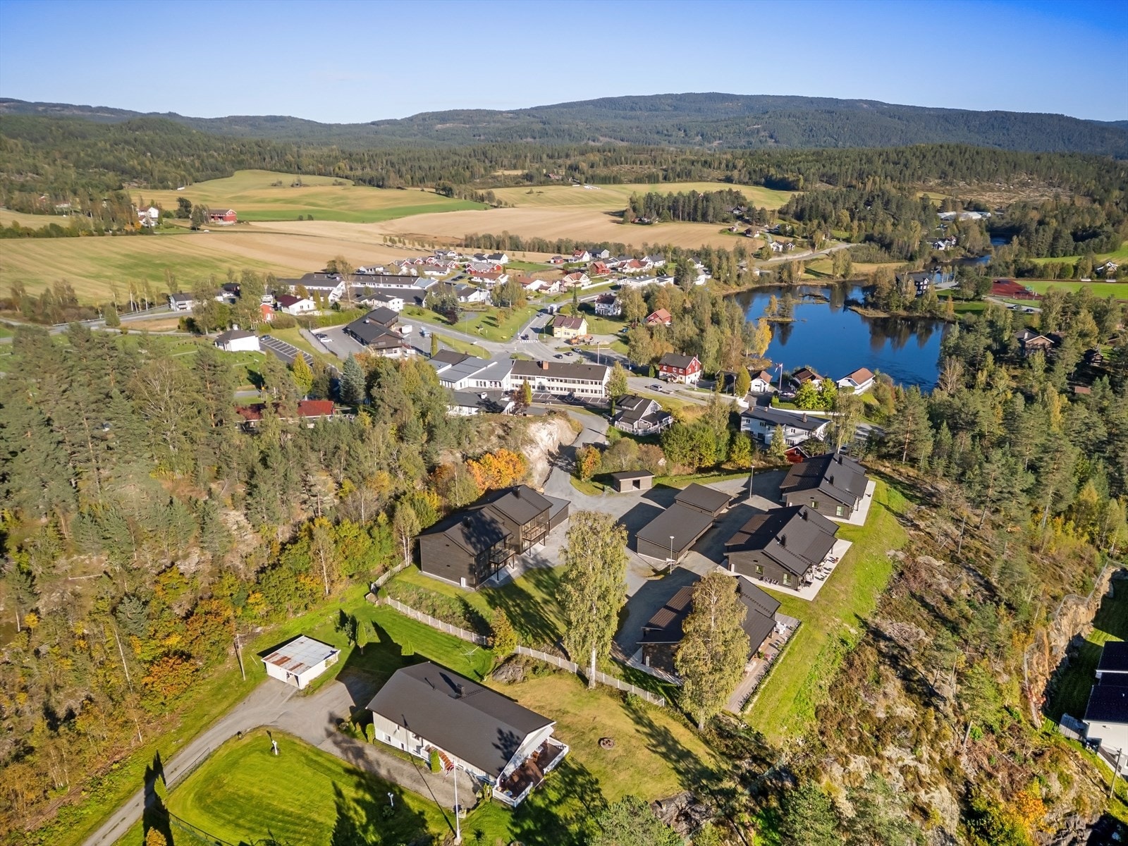 Nærområdet. Galleribilde