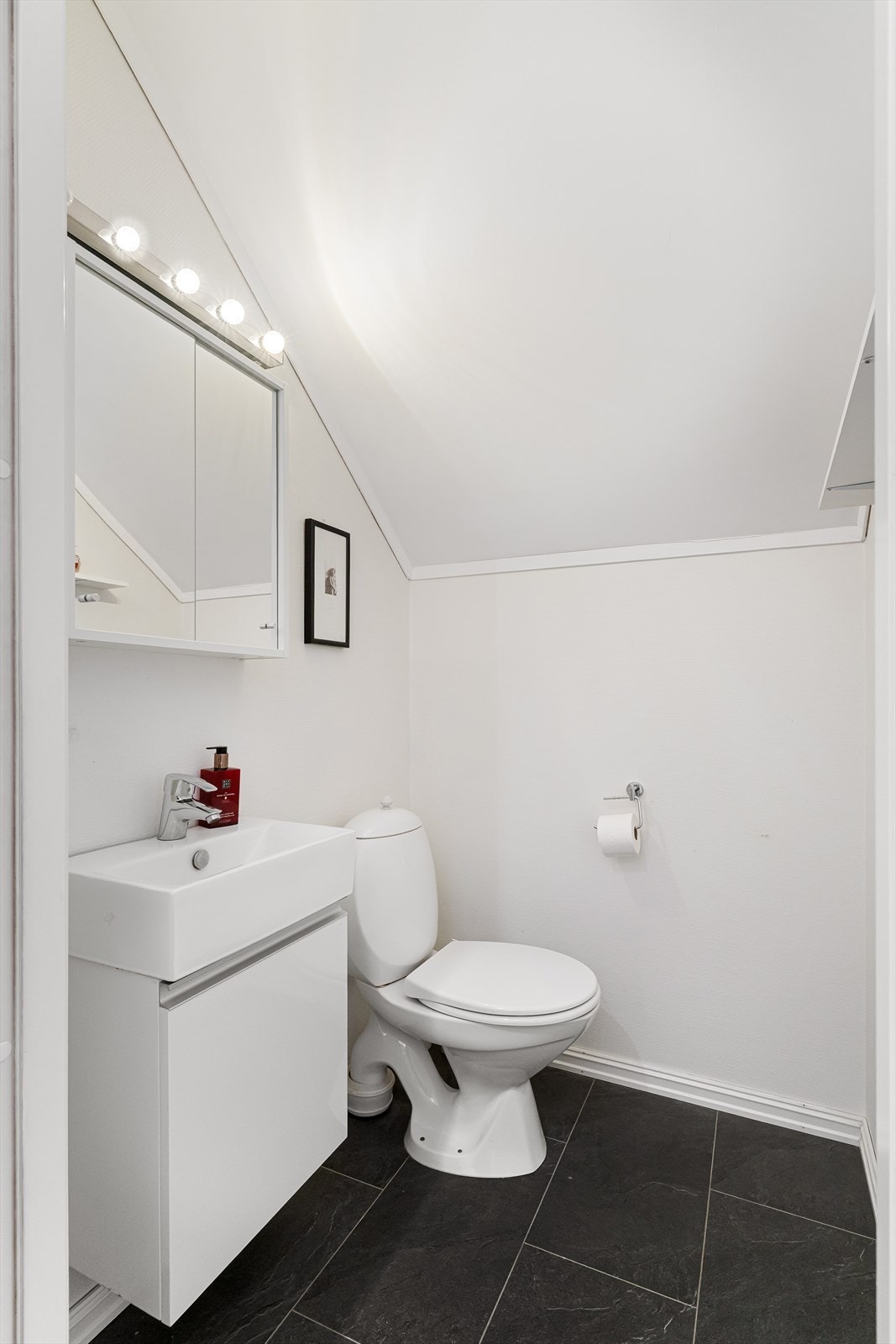 Toalettrom. Galleribilde