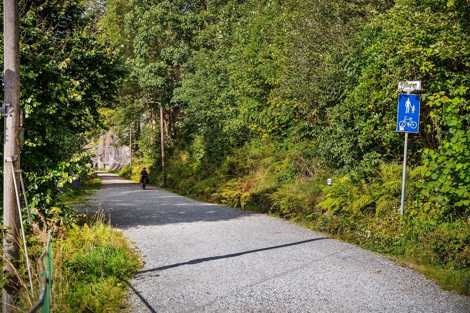 Videre ligger Fjellveien i nærområdet - en populær tursti med spektakulær utsikt, som blant annet fører videre mot Fløyfjellet. Galleribilde