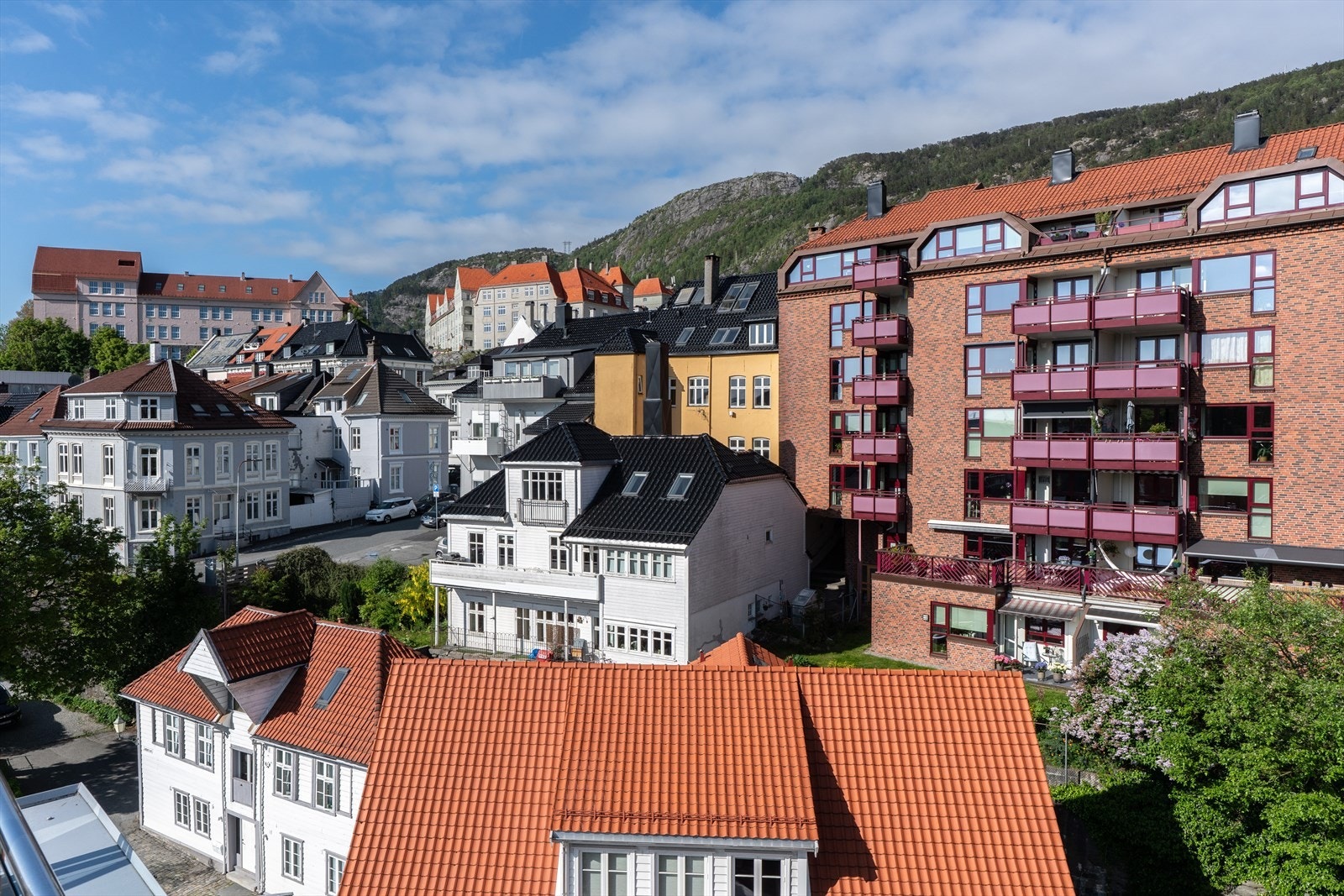 Områdebilde. Galleribilde