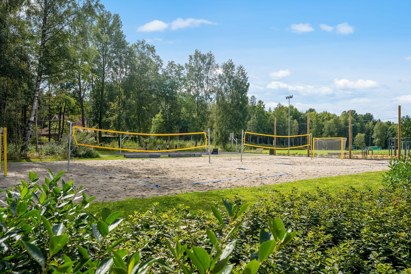 Området på sommerstid Galleribilde