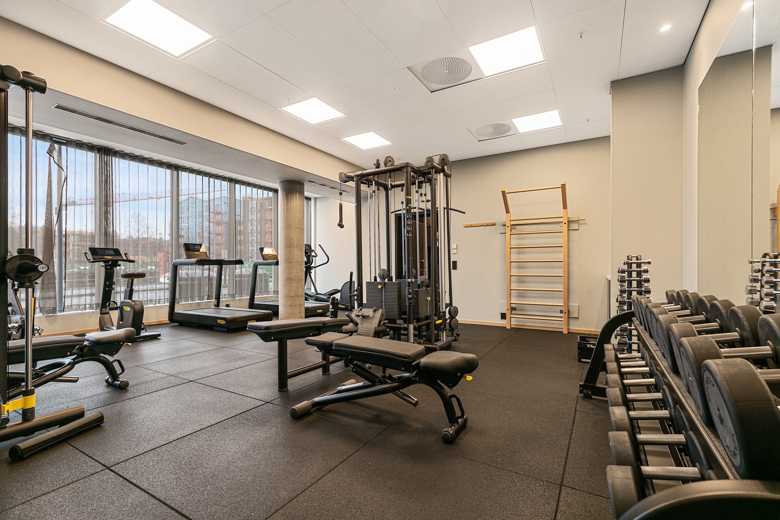 Trimrom, Galleribilde