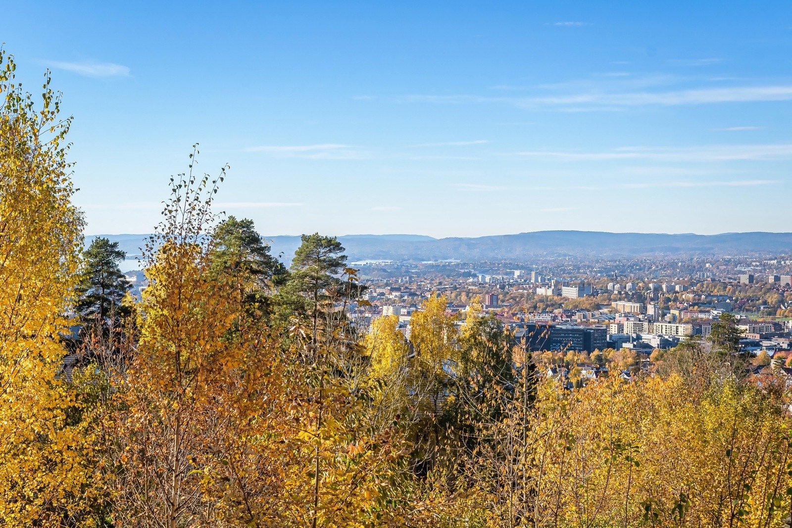 Vidstrakt utsikt fra balkongen oppe! Galleribilde