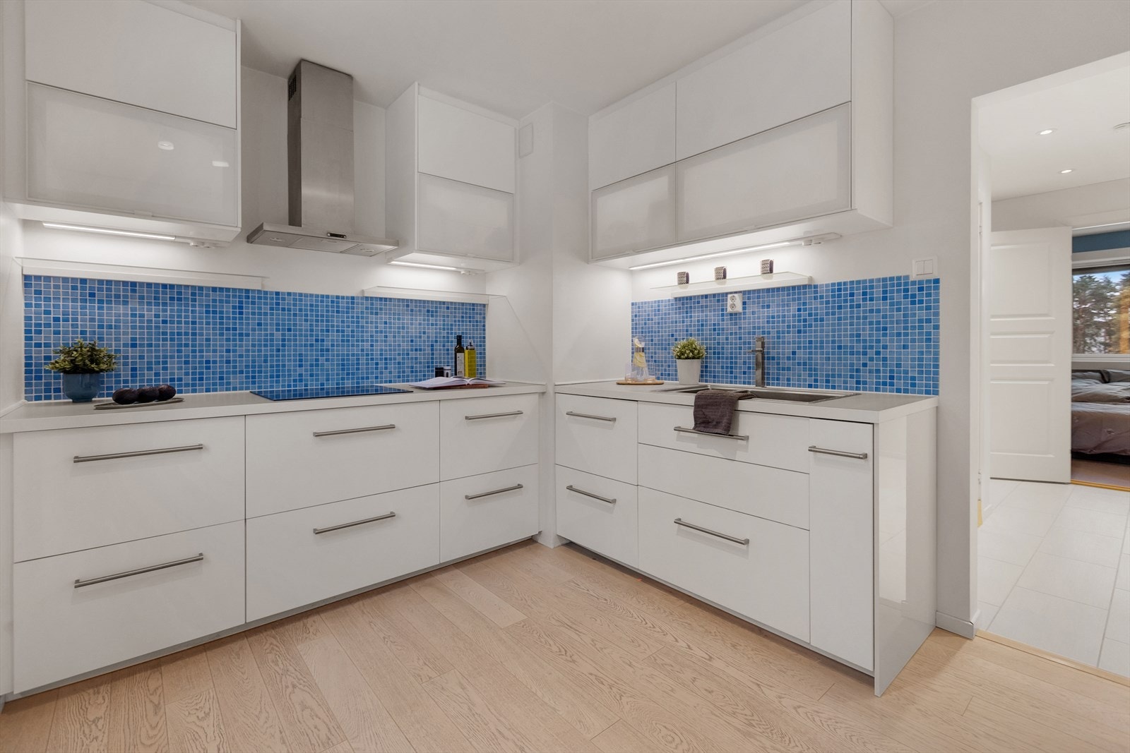 Det er integrerte hvitevarer og kullfiltervifte over koketopp. Galleribilde