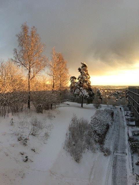 Utsikt fra kjøkkenvinduet Galleribilde