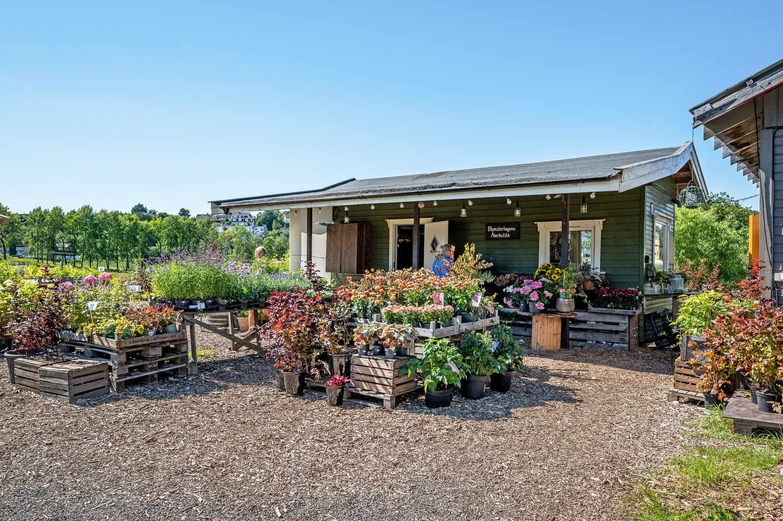 Områdebilde. Galleribilde