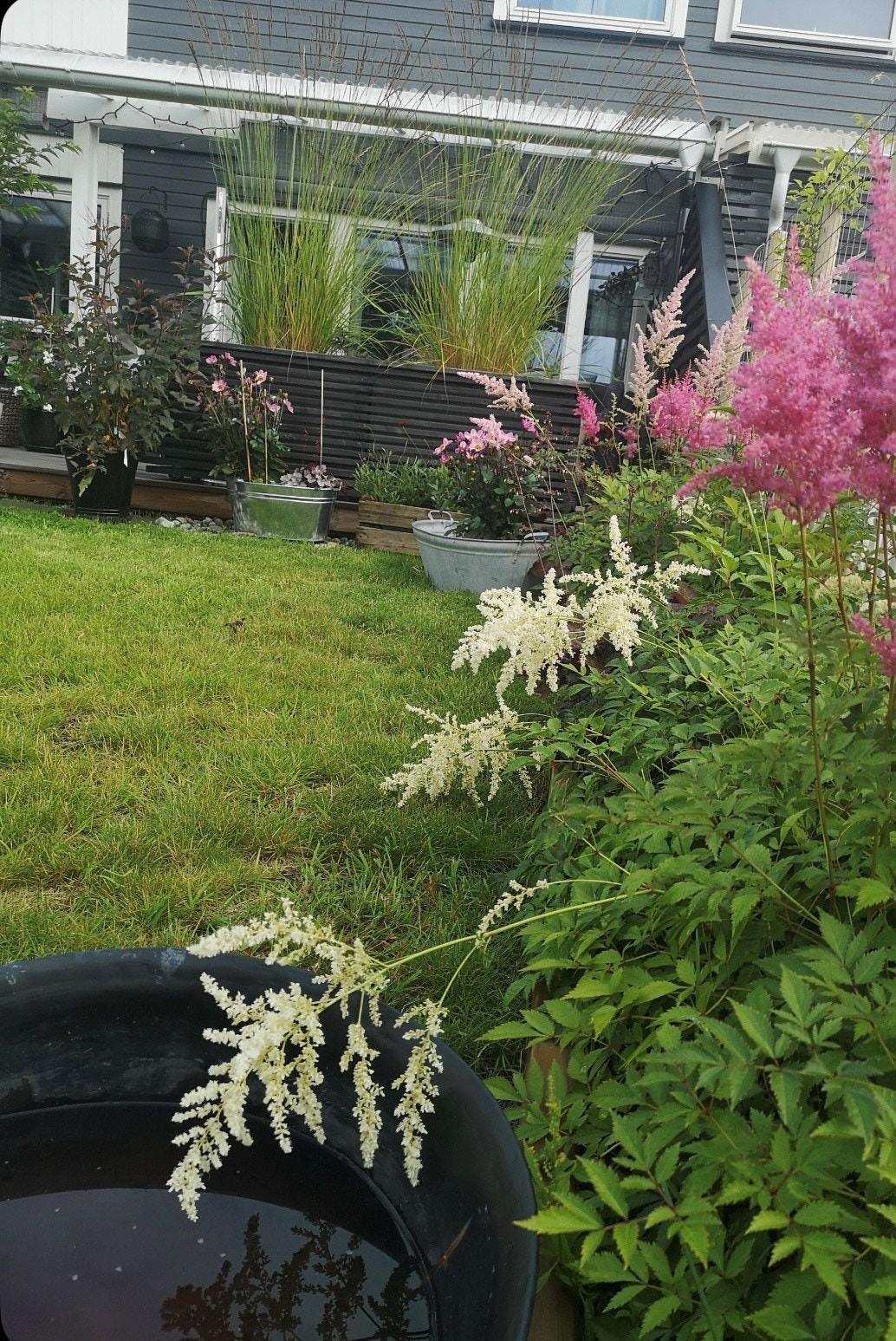 sommerbilde Galleribilde