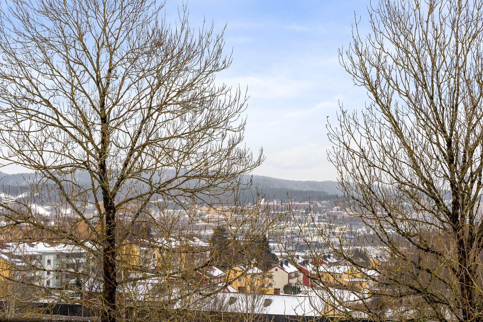 Nyt den flotte utsikten gjennom alle årets årstider! Galleribilde