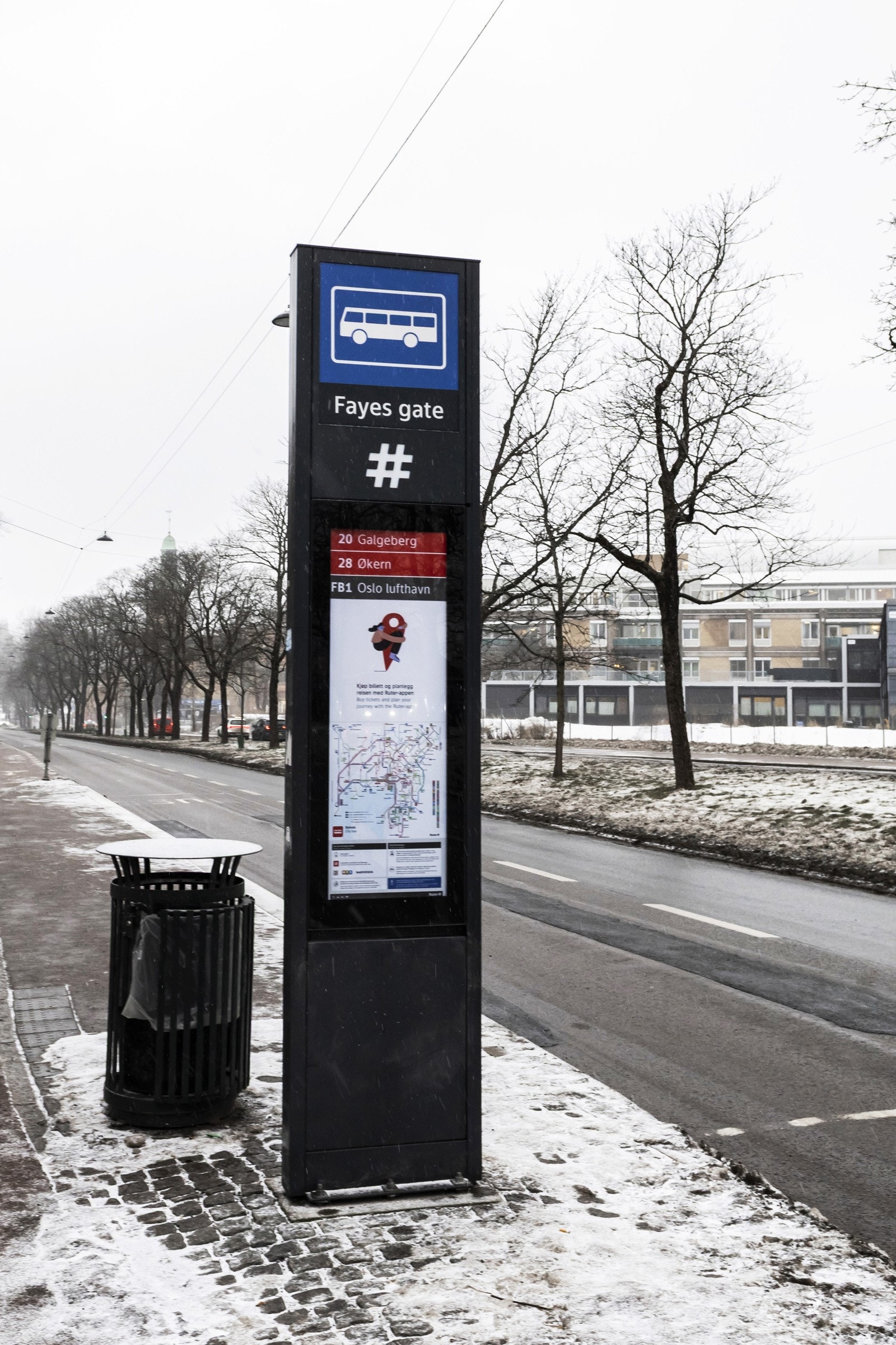 IMG_0706 Galleribilde