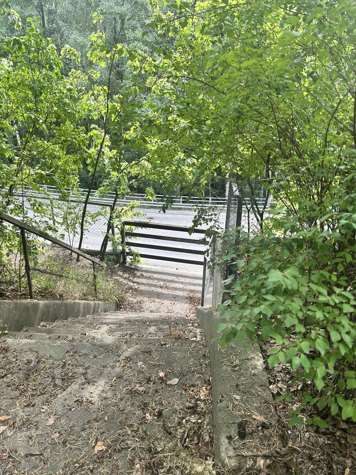 Port ned til bussholdeplassen. Galleribilde