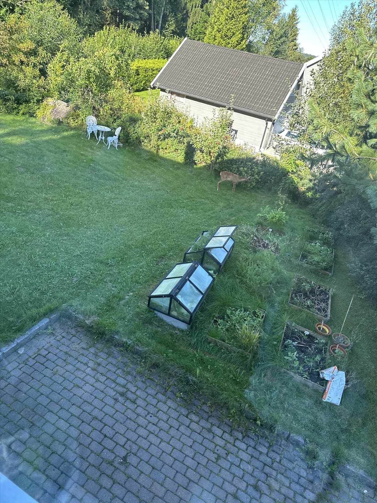 Eiendommen ligger i et rolig område med lite trafikk og støy. Galleribilde