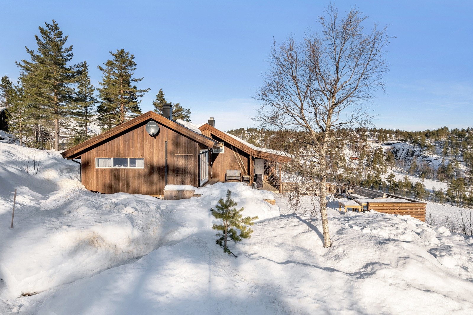 assignment-15397-1739182521686 Galleribilde