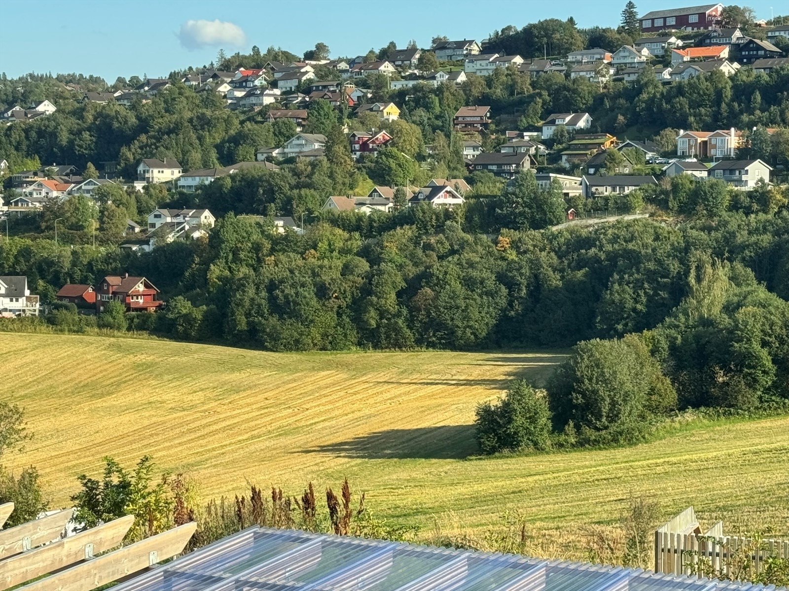 Selgers bilde. Galleribilde