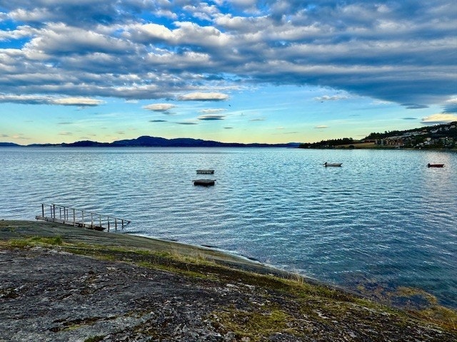 Selgers bilde. Galleribilde