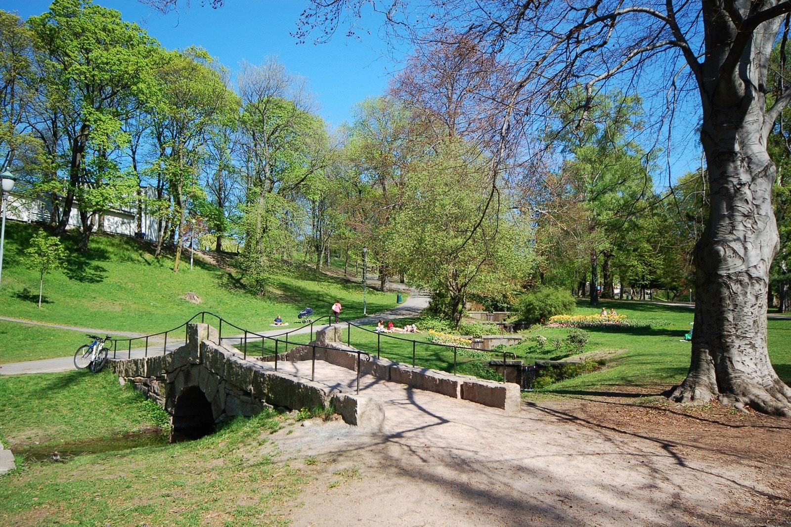 Her kan man nyte solrike dager, rolige spaserturer eller trening i naturskjønne omgivelser - midt i byen. Galleribilde