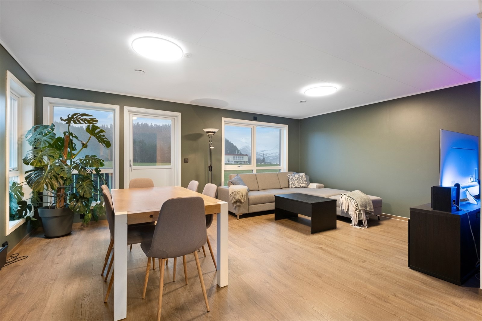 Store vindusflater i stuen gir godt med naturlig lys. Galleribilde