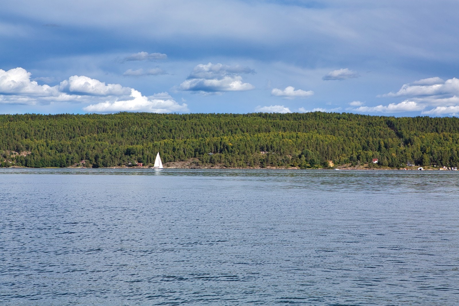 Her bor du med store, grønne uteområder rett utenfor døren, i direkte tilknytning til vernet natur Galleribilde