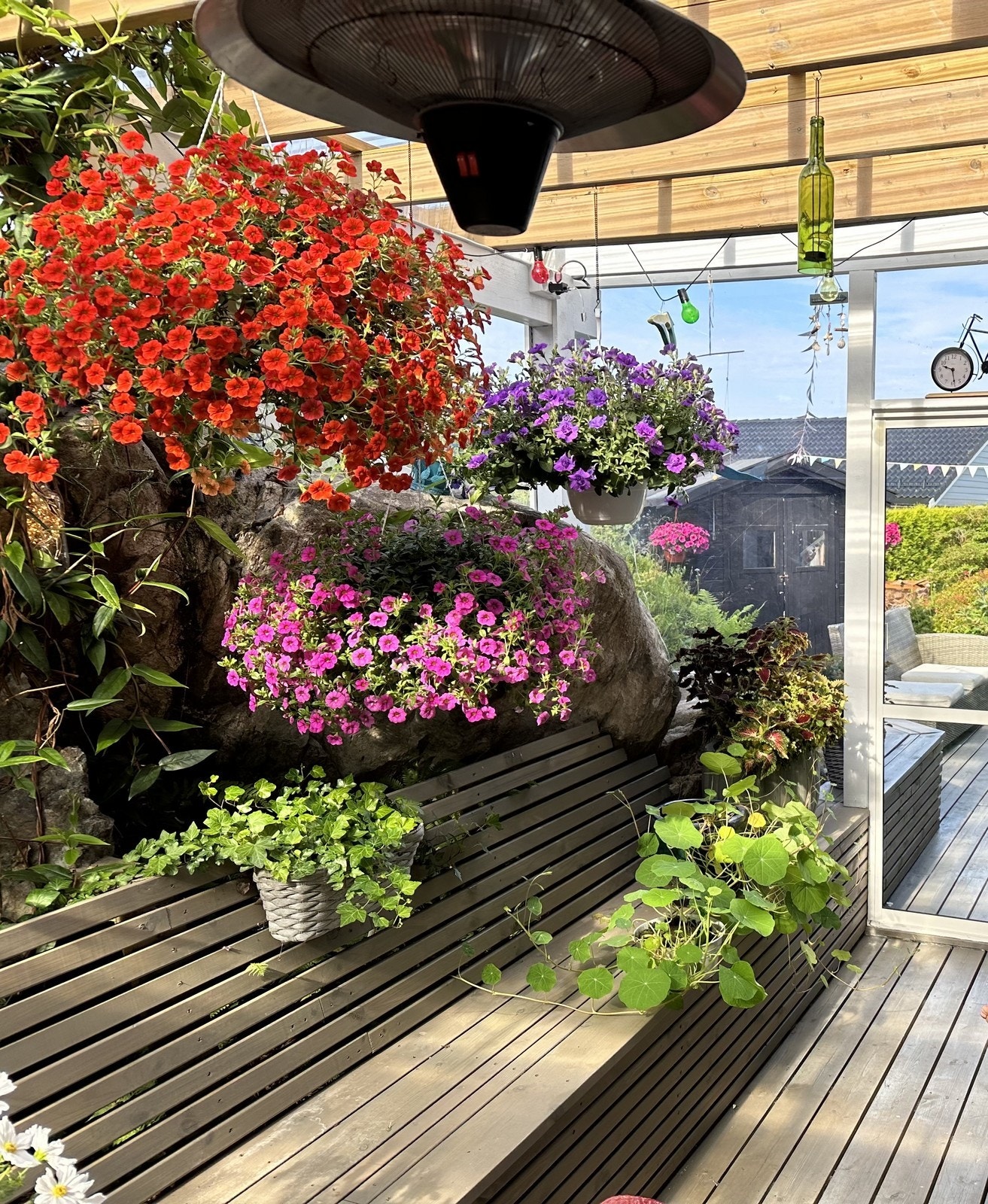 Mye fin beplantning i fine farger i hagestuen. Galleribilde