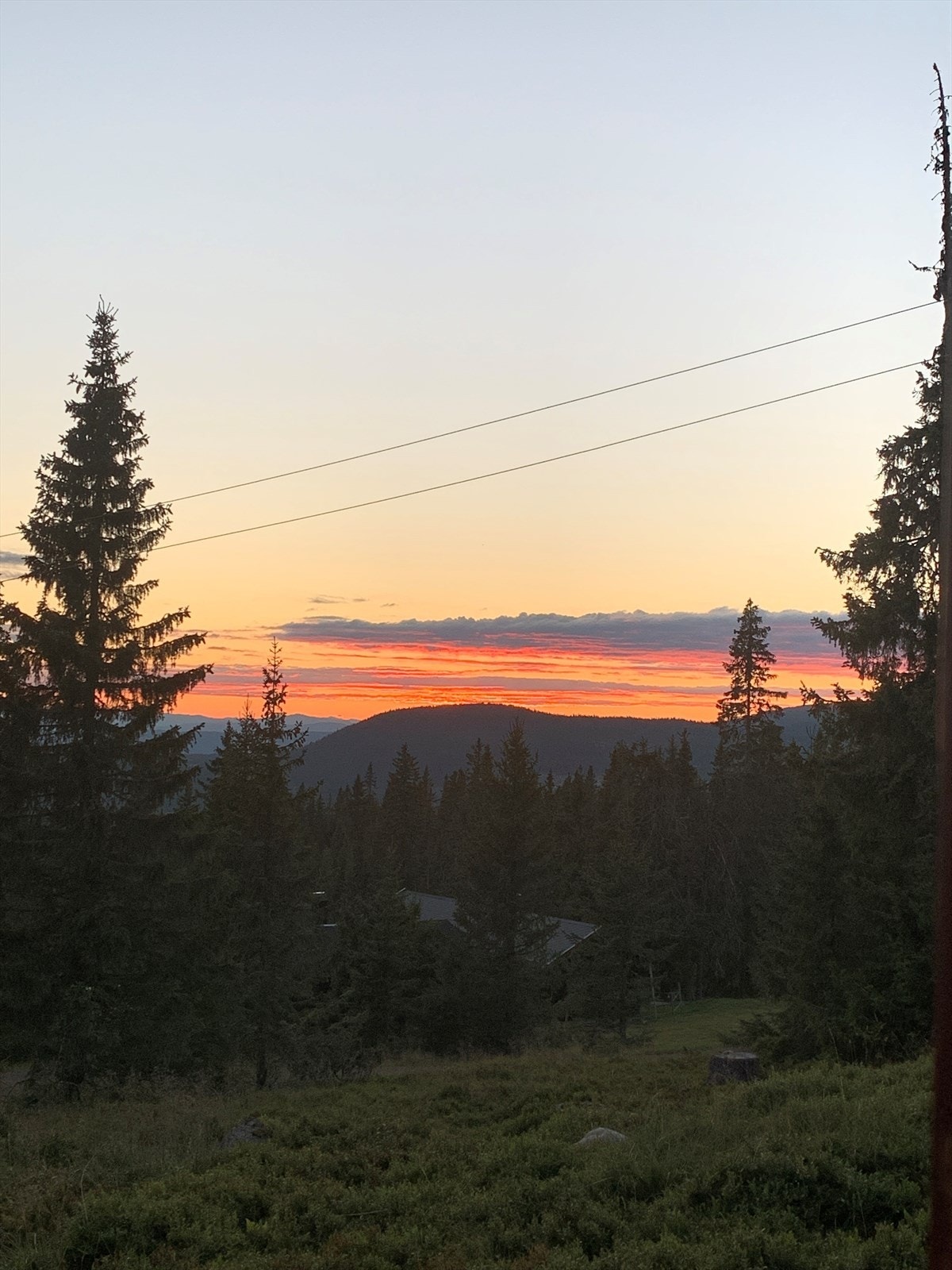 Privat bilde fra selger. Galleribilde