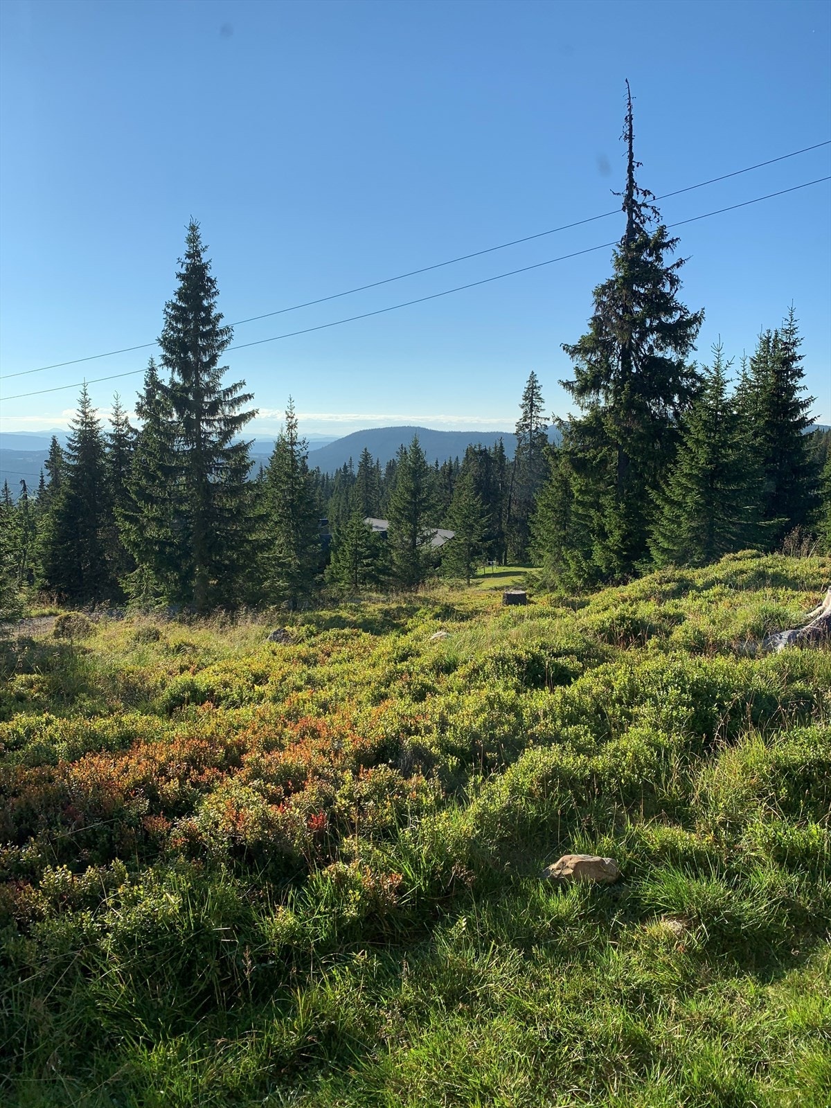 Privat bilde fra selger. Galleribilde