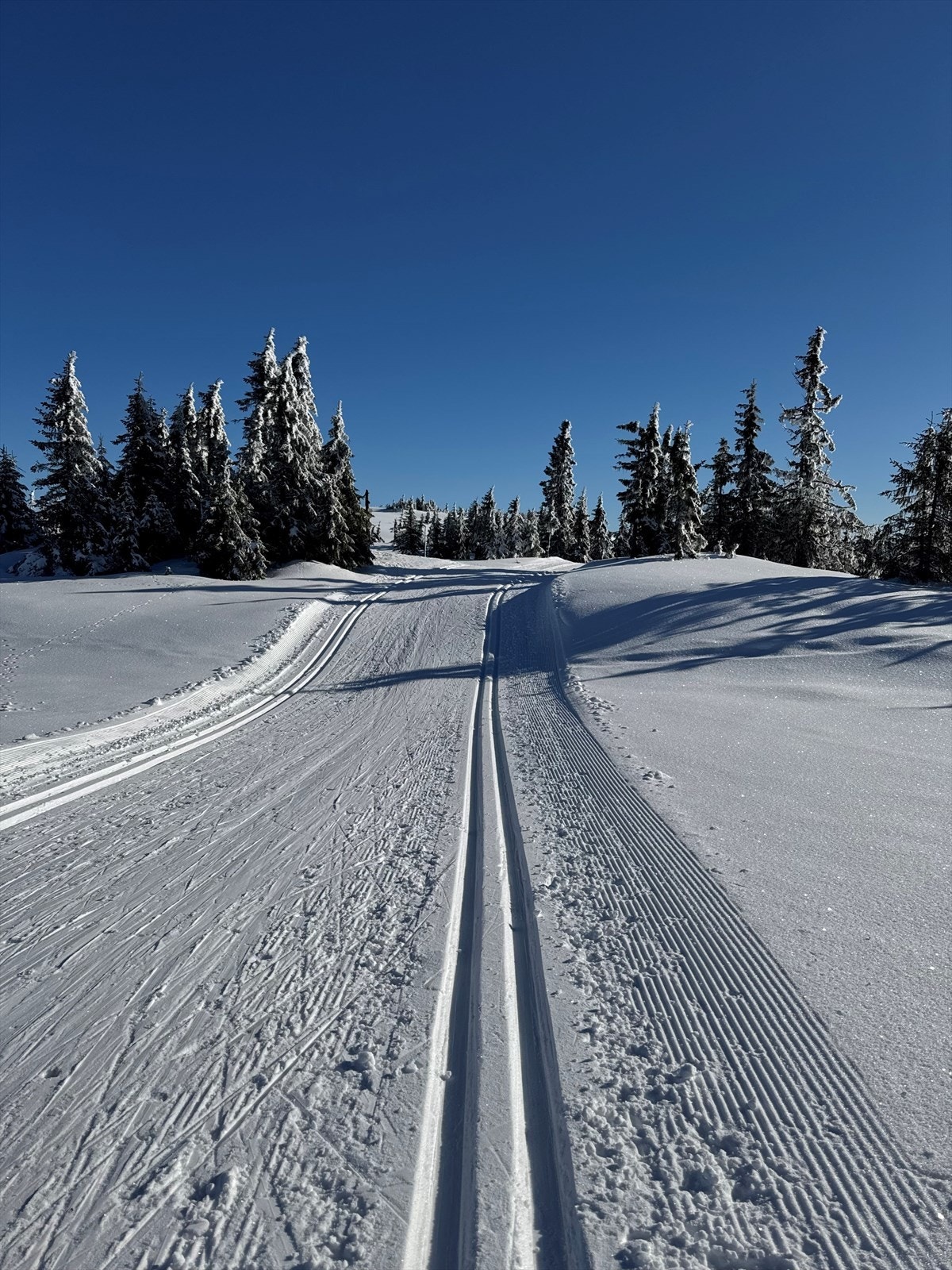 Privat bilde fra selger. Galleribilde