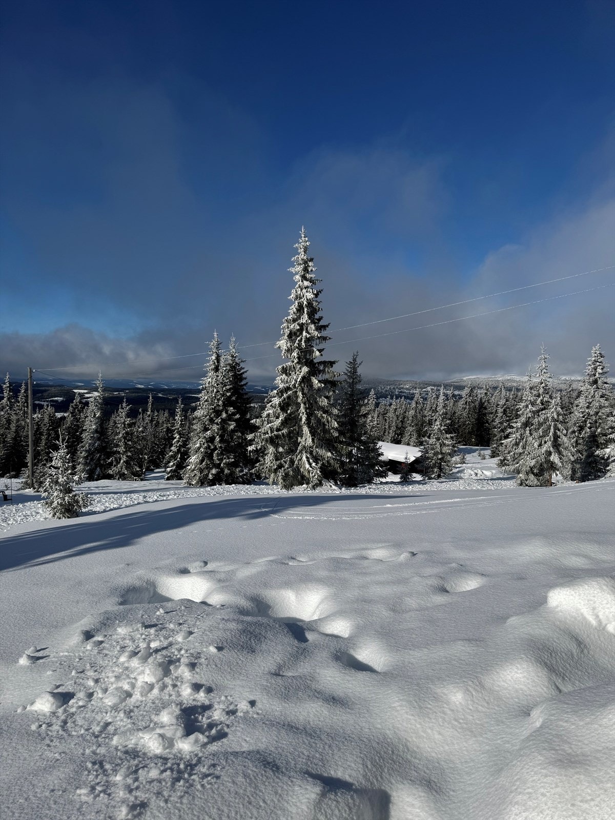 Privat bilde fra selger. Galleribilde