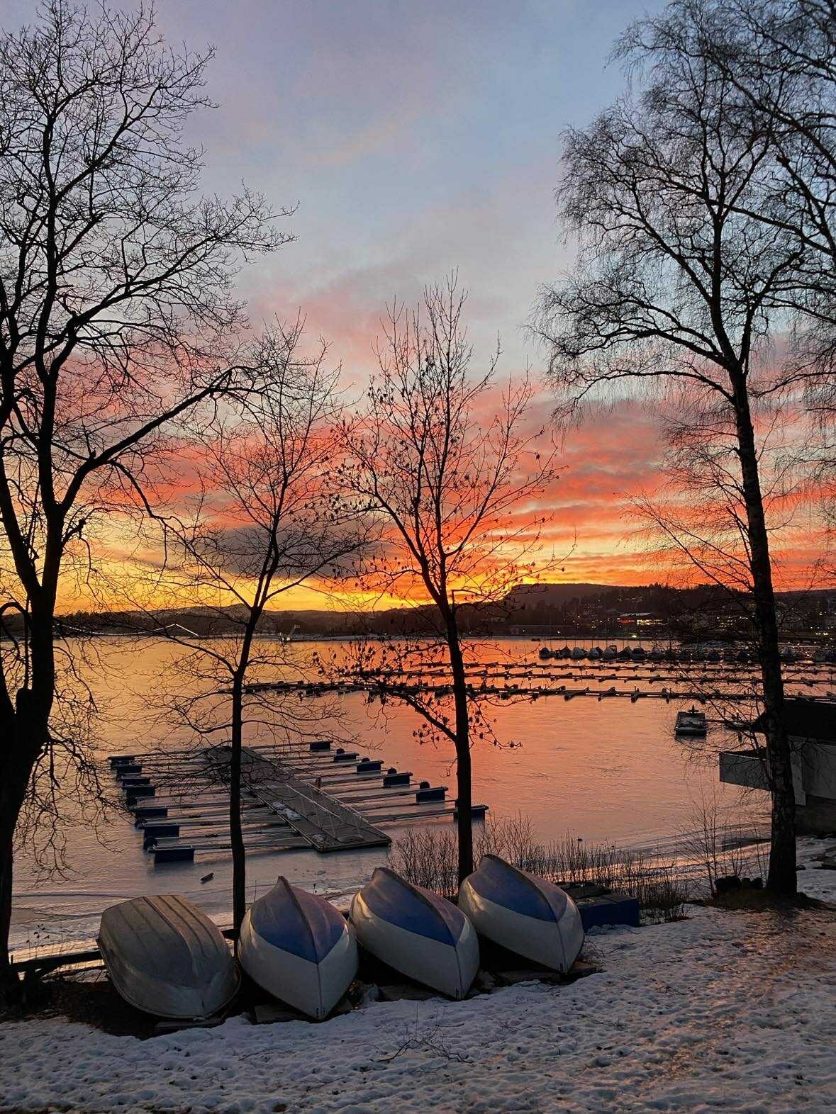 Bilde tatt på Sjøholmen. Kun en kort tur fra boligen. Vakre turområder langs fjorden. Galleribilde