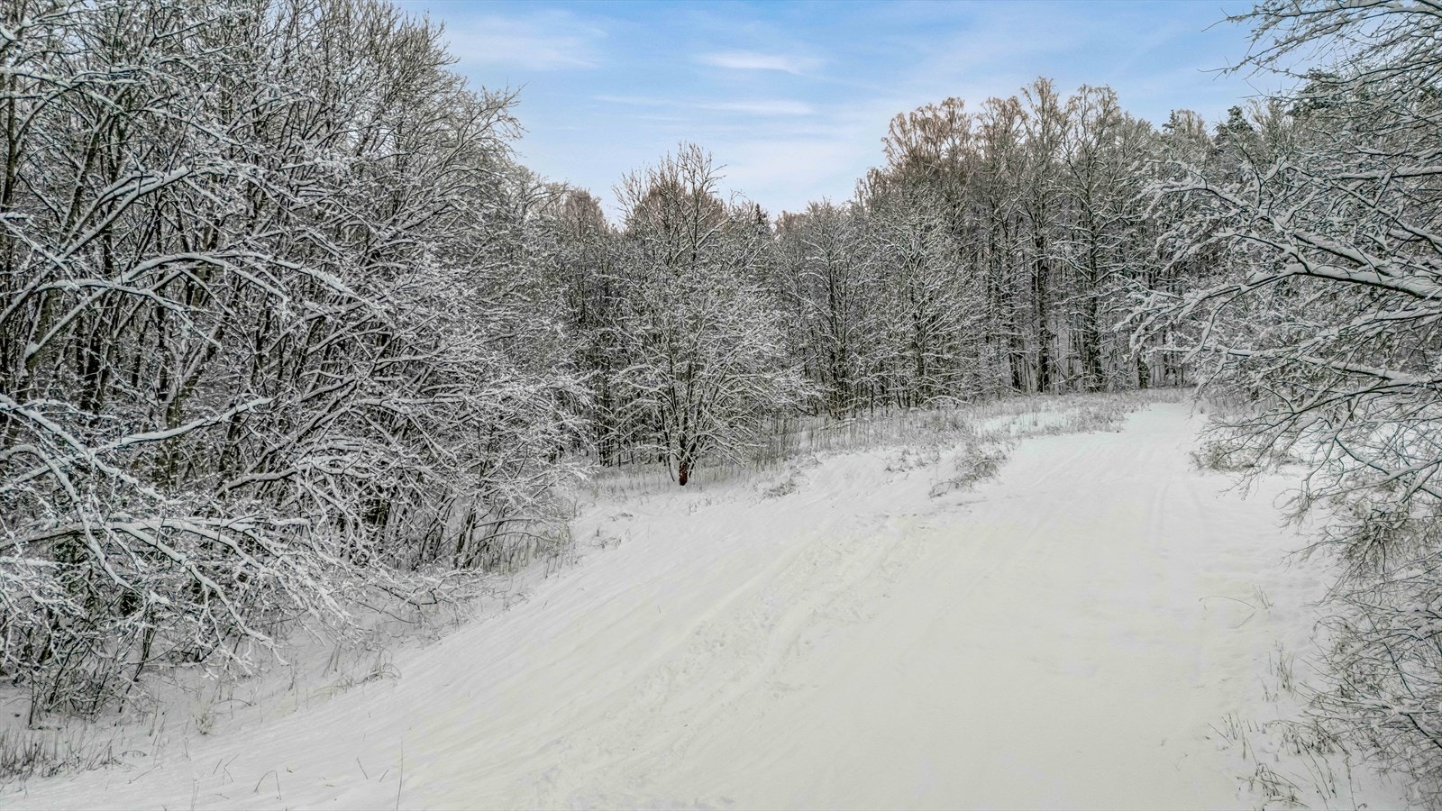 Engerjordet har en lang og populær akebakke, hvor det også holdes barnebursdager om vinteren. Galleribilde