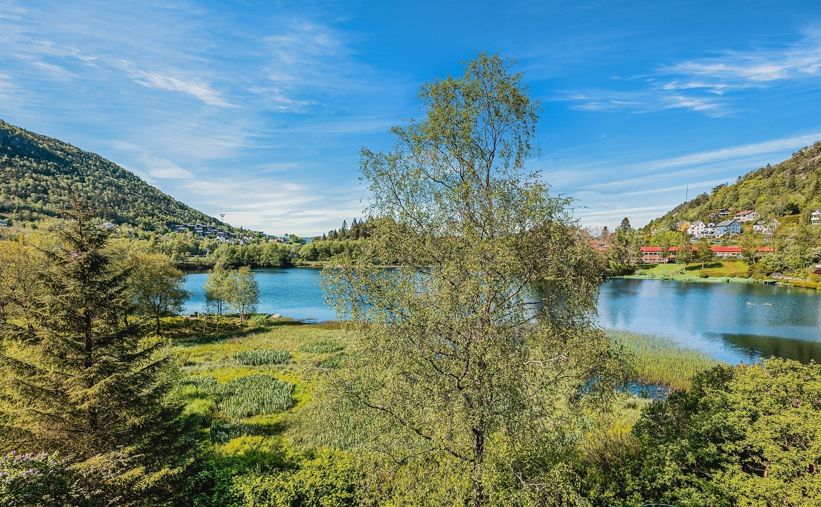 Det fine med området er at det er så utrolig naturskjønt, samtidig som det er 10 min kjøring til sentrum og bylivet. Galleribilde
