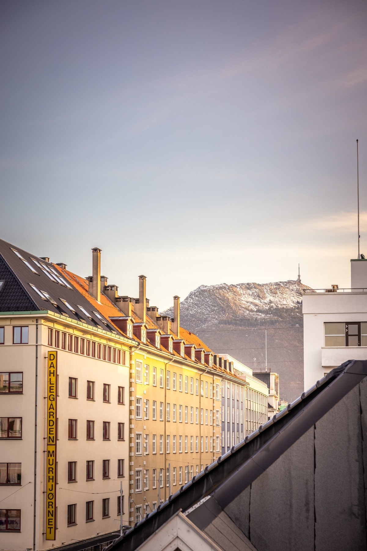 ... og Ulriken Galleribilde