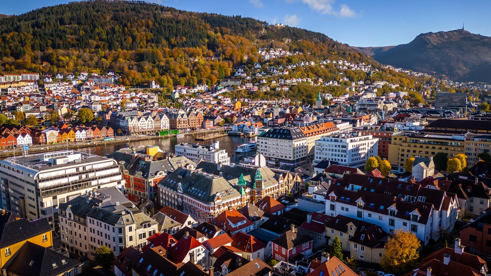 Hjertelig velkommen til visning - husk påmelding! Galleribilde