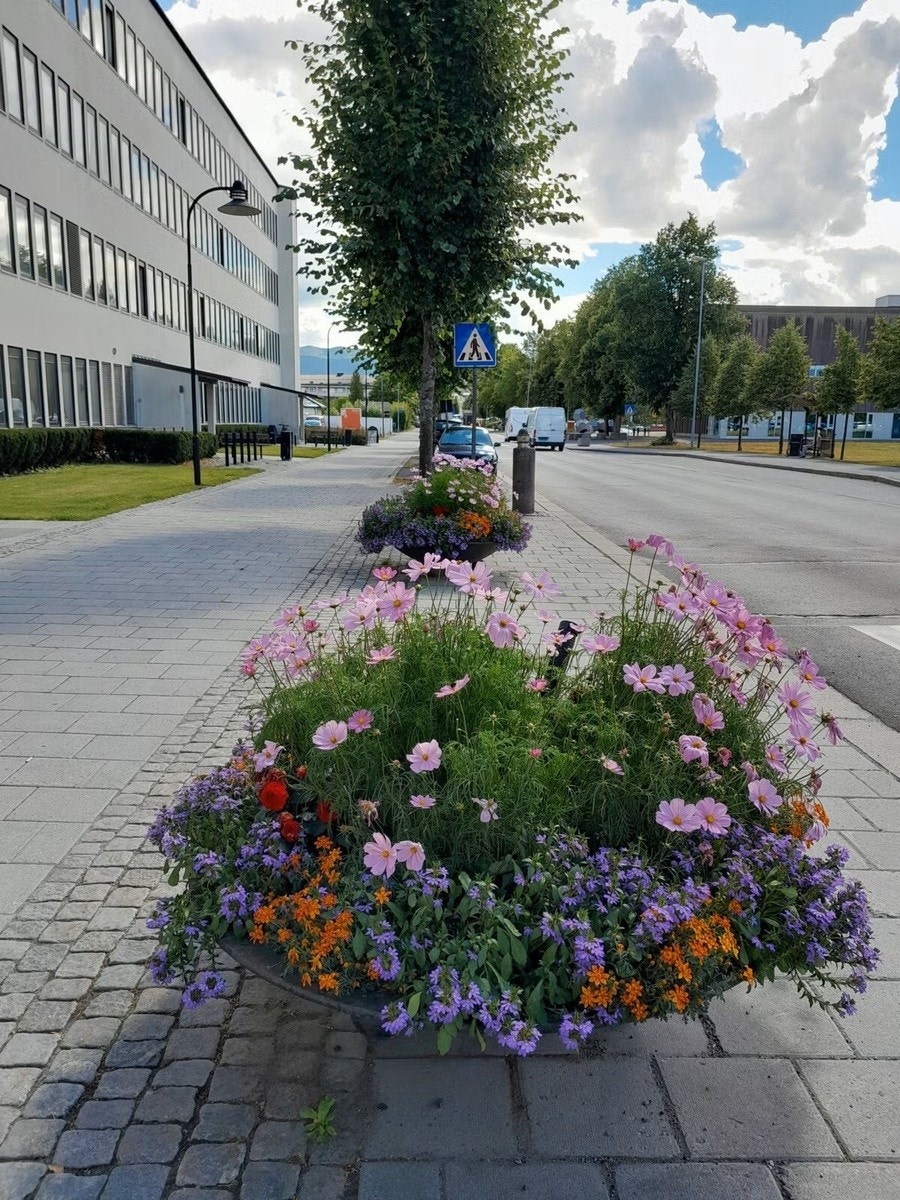 Sentrum. 10 min gåtur Galleribilde