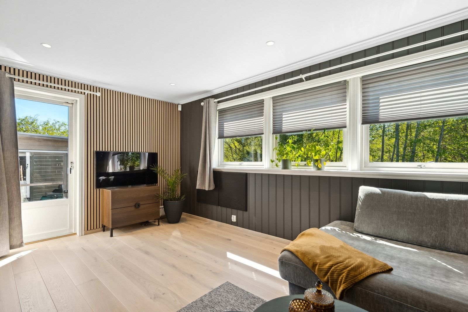 TV-stue med videre adkomst til stor terrasse Galleribilde