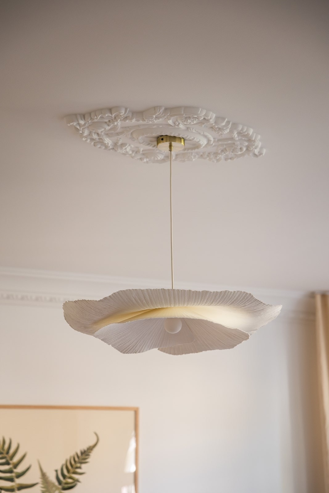 Rosett i tak og bred list | stukkatur i tak, slik man forventer i en klassisk bygård fra 1904 Galleribilde