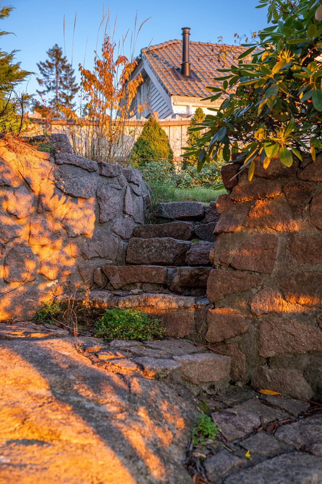 Trapp mellom de to nivåene i hagen Galleribilde
