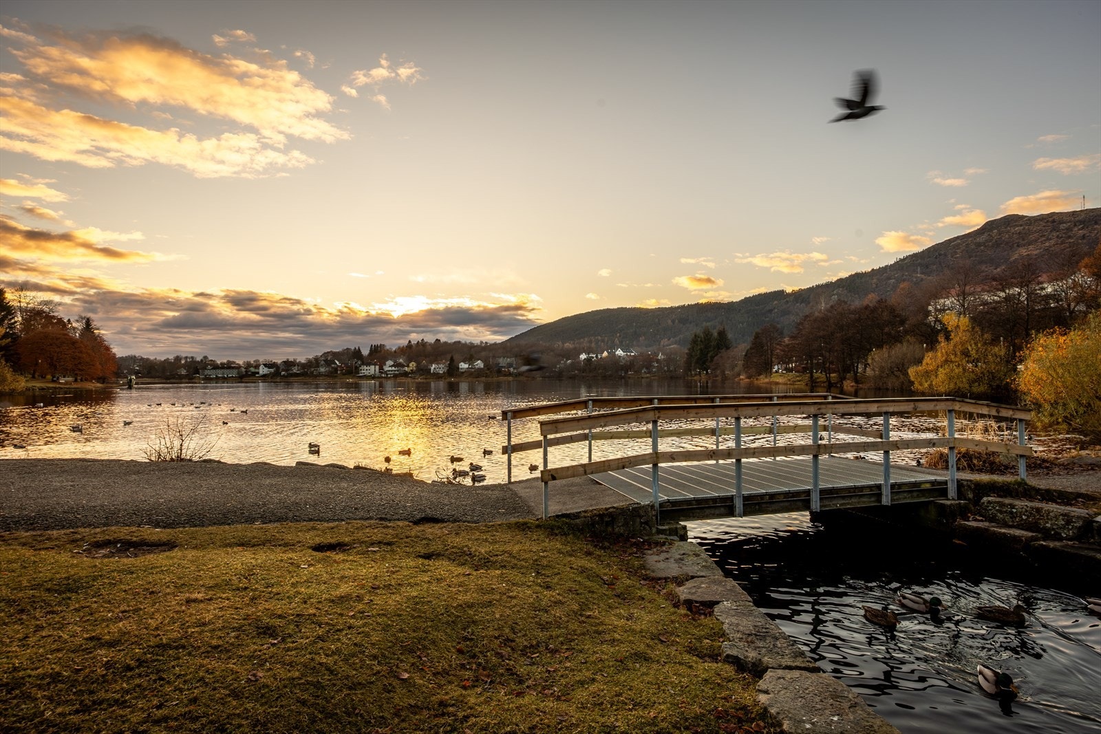 Kort vei til Tveitevannet. Galleribilde