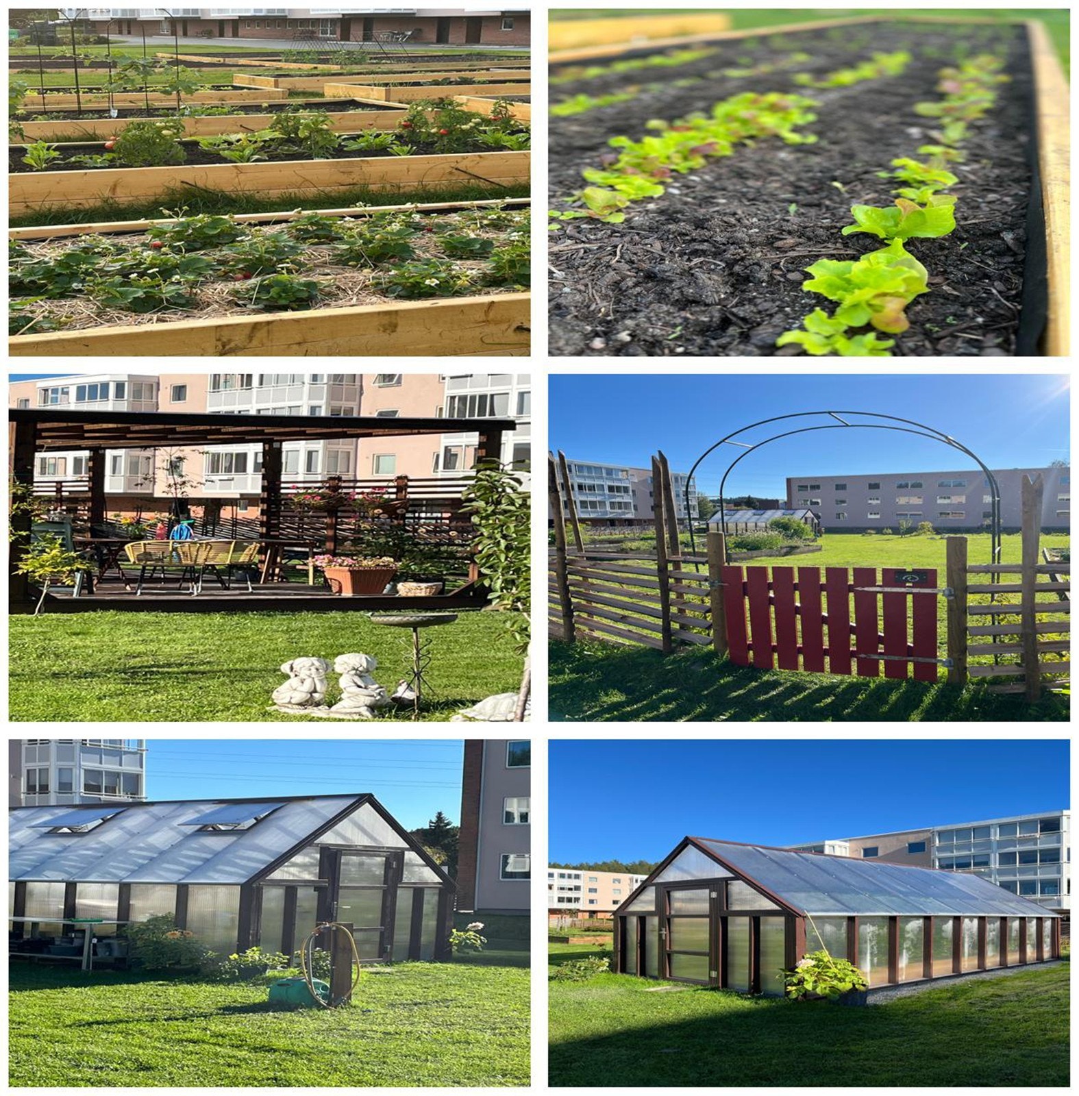 Borettslaget har etablert borettslagshage med Samdyrkelag (urbant landbruk). Et hyggelig fristed med plass for store og små, som vil være med å lære å dyrke grønnsaker, frukt og bær. Anlegget har drivhus og stor pergola med utekjøkken/grill. Galleribilde