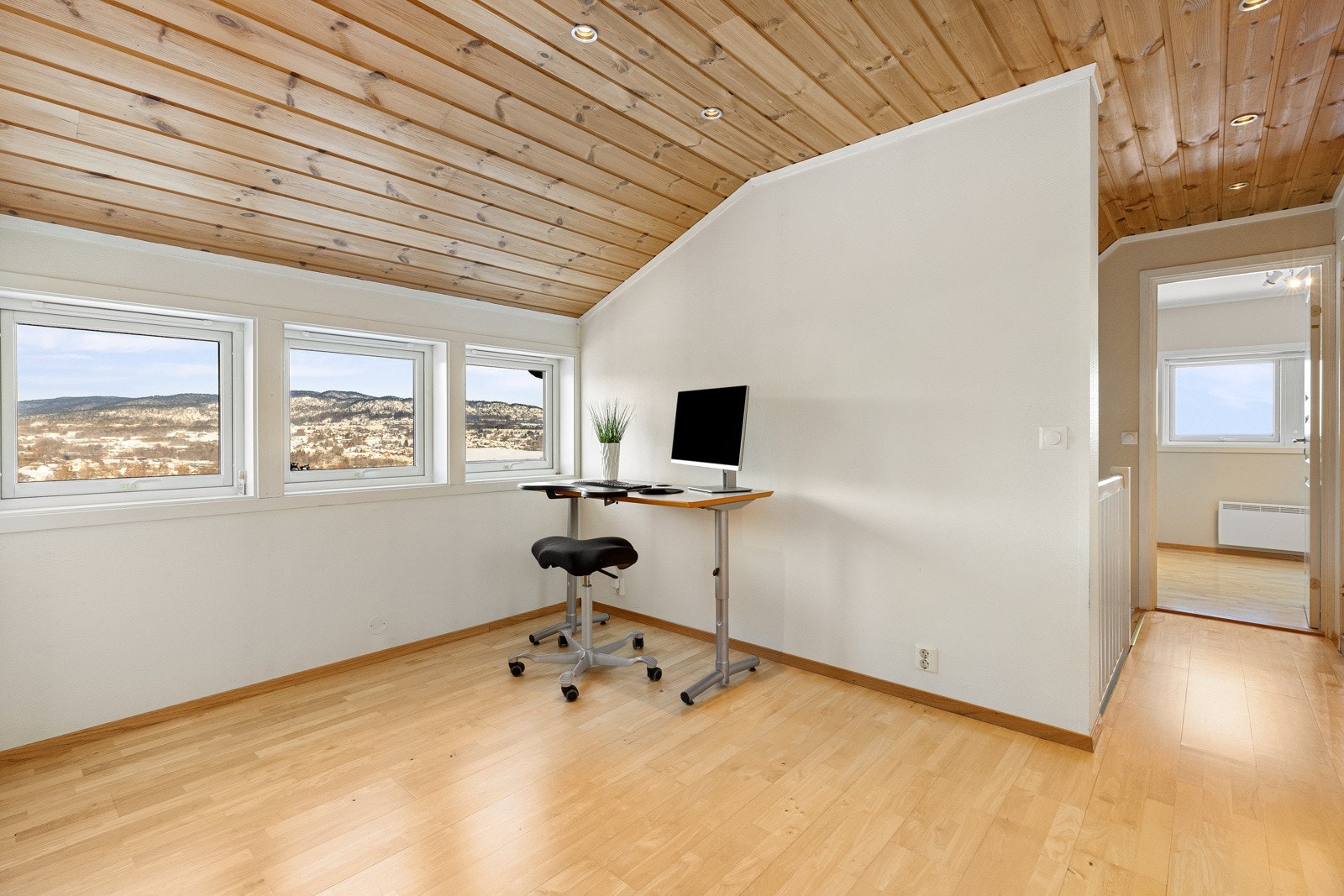 Rommet gir god plass til sofa, multimedia og kontorhjørne. Galleribilde