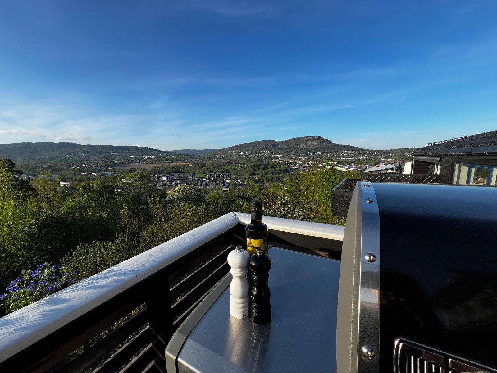 Utsikten fra terrassen ( Selgers private sommerbilder) Galleribilde