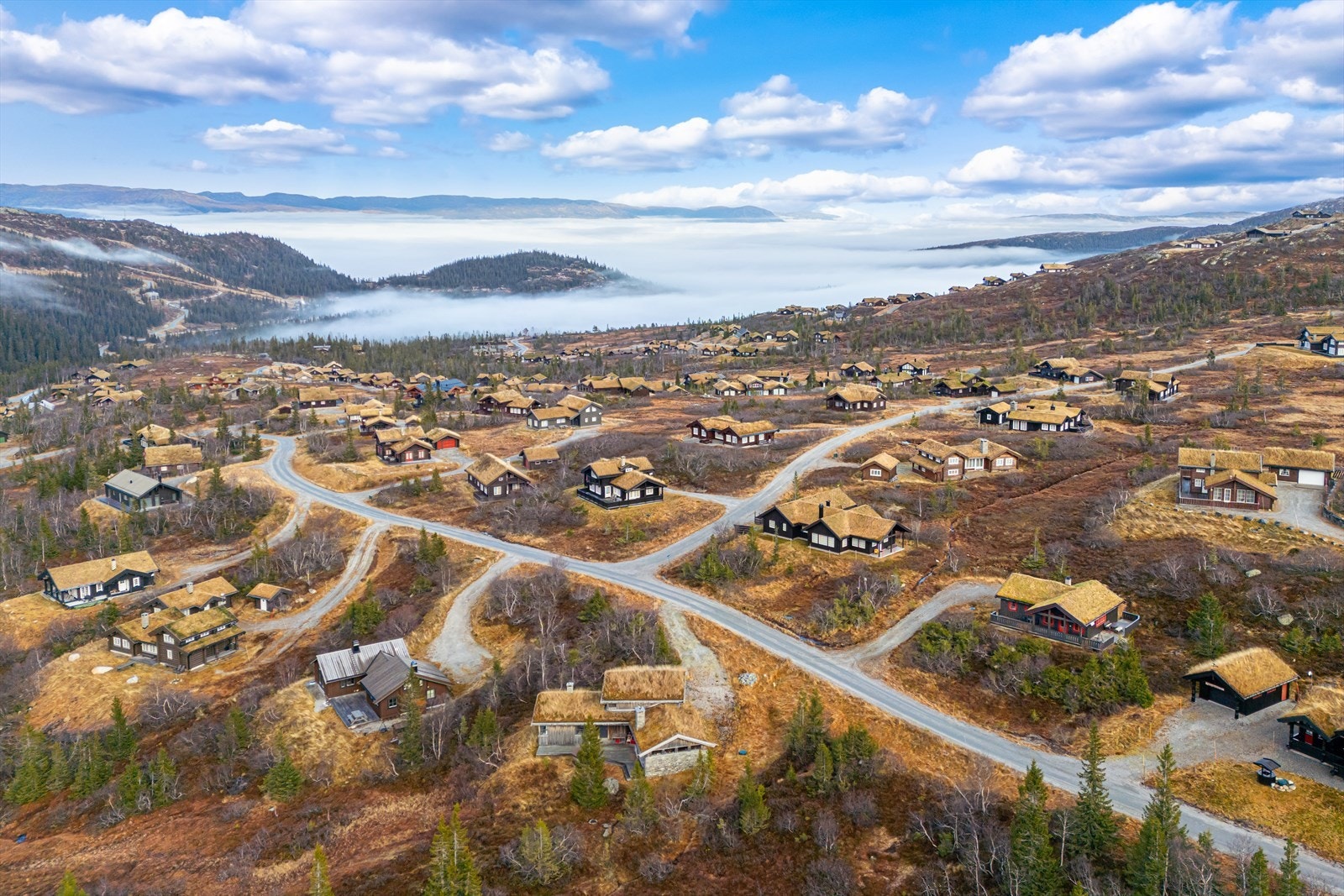 Oversiktbilde. Galleribilde