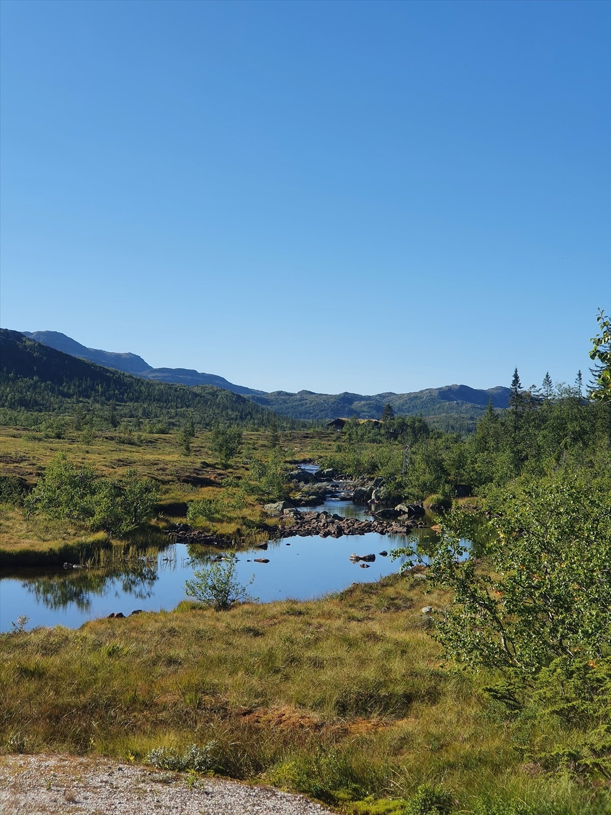 Selgers private sommerbilder - Området har fantastiske turmuligheter sommer som vinter. Galleribilde